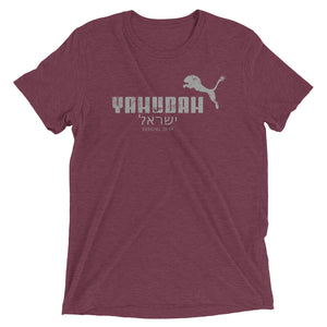 Maroon and Gray Short sleeve Yahudah t-shirt